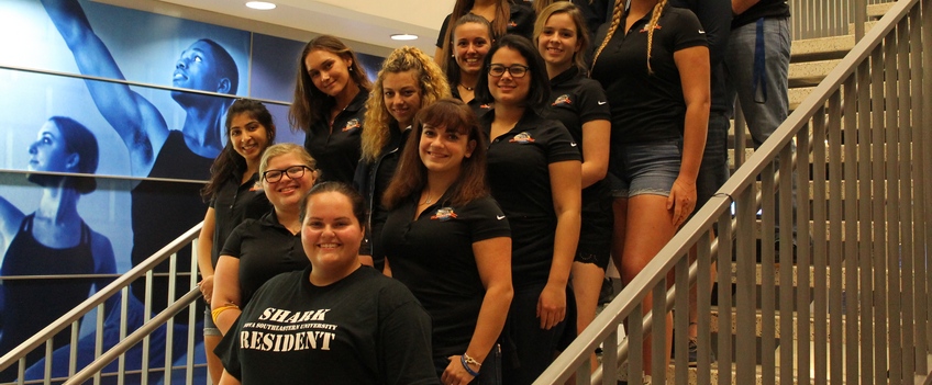 Performing and Visual Arts Undergraduate Programs